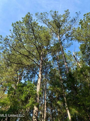 000 Hwy 395, Noxapater, MS 39346