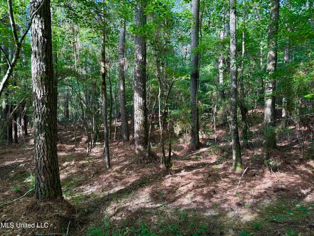 000 Hwy 395, Noxapater, MS 39346