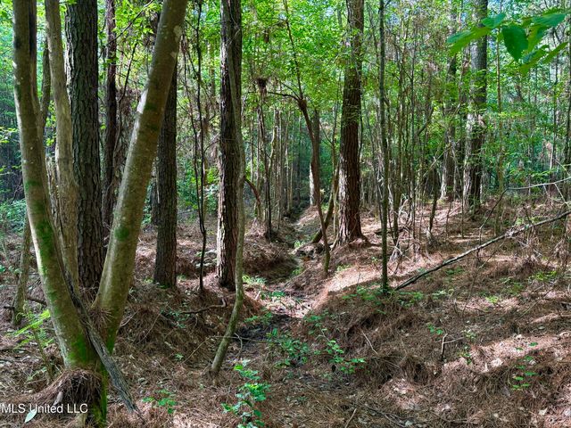 000 Hwy 395, Noxapater, MS 39346