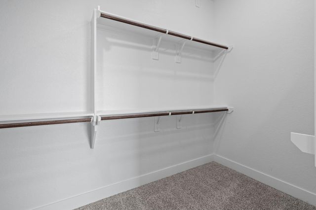 213 Black Cypress Trail, Waller, TX 77447