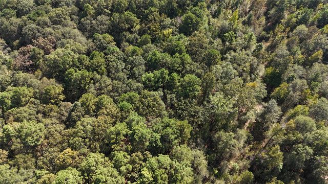 129 County Road 1239, Maud, TX 75567