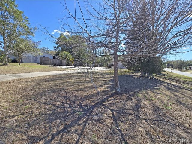 14 Clifford Drive, Beverly Hills, FL 34465