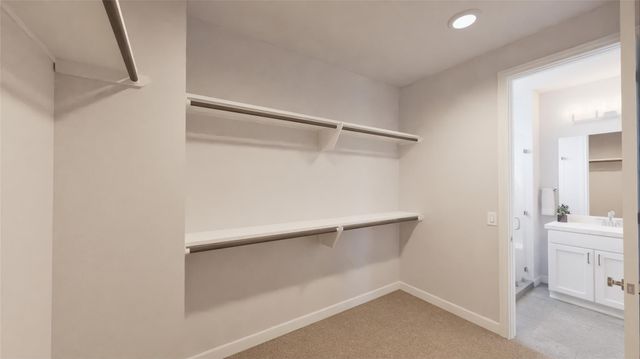 1411 Rambling Rose RD, Austin, TX 78745
