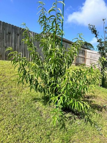 3041 Crown Creek Circle, Crestview, FL 32539