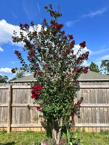 3041 Crown Creek Circle, Crestview, FL 32539