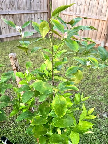 3041 Crown Creek Circle, Crestview, FL 32539