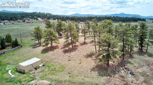 13599 County Road 1, Florissant, CO 80816