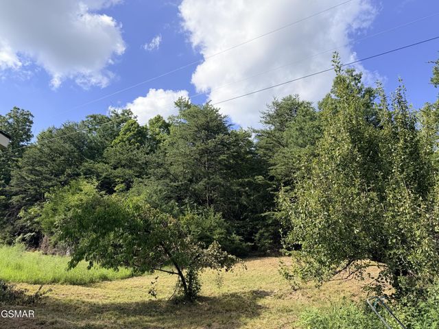 999 Manna Way, Cosby, TN 37722
