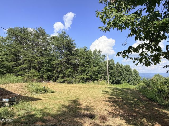 999 Manna Way, Cosby, TN 37722