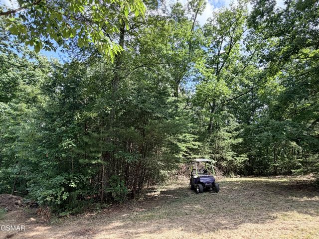 999 Manna Way, Cosby, TN 37722