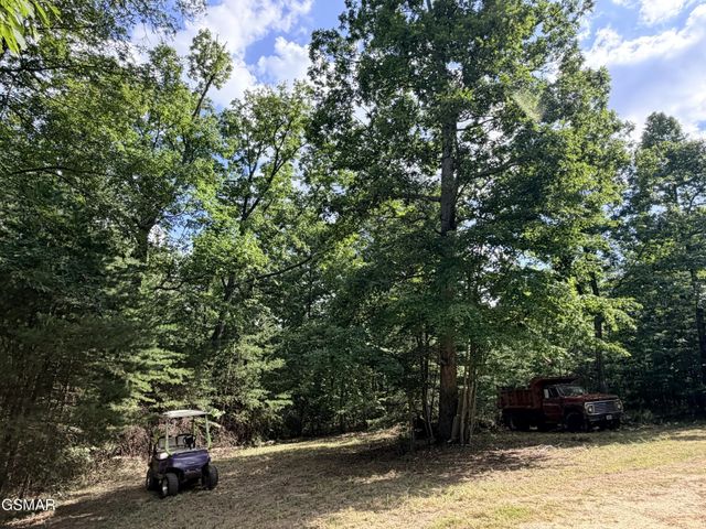 999 Manna Way, Cosby, TN 37722