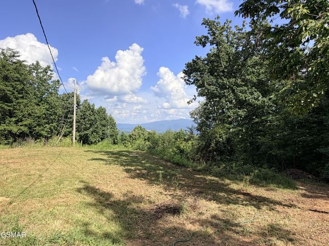 999 Manna Way, Cosby, TN 37722