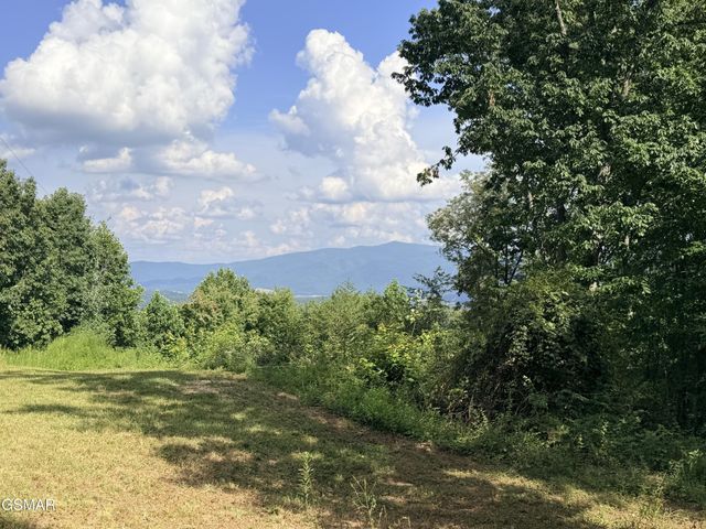 999 Manna Way, Cosby, TN 37722