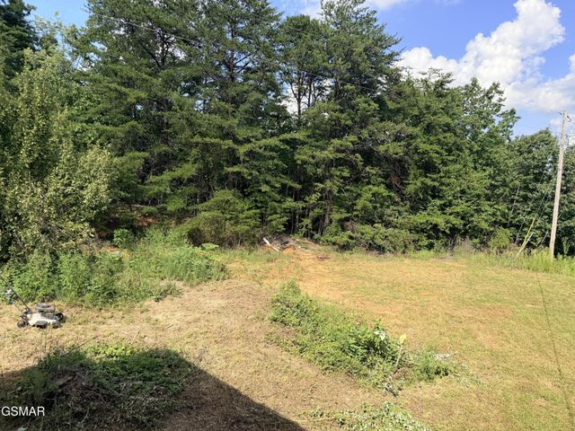 999 Manna Way, Cosby, TN 37722
