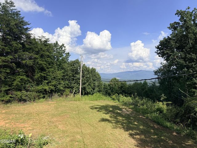 999 Manna Way, Cosby, TN 37722