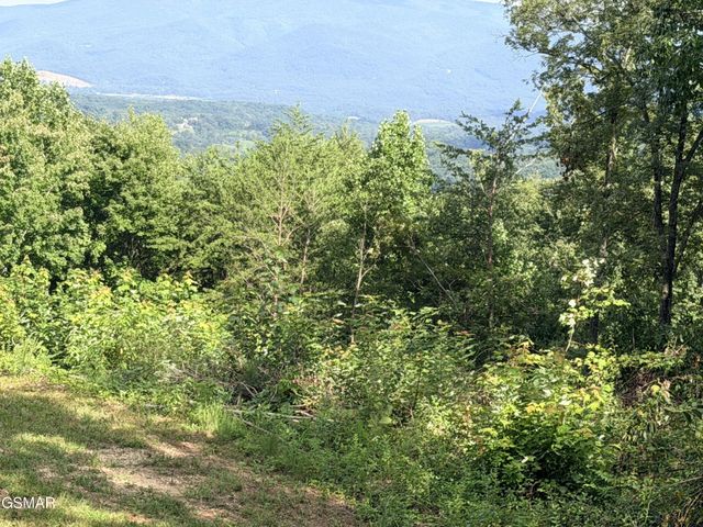 999 Manna Way, Cosby, TN 37722