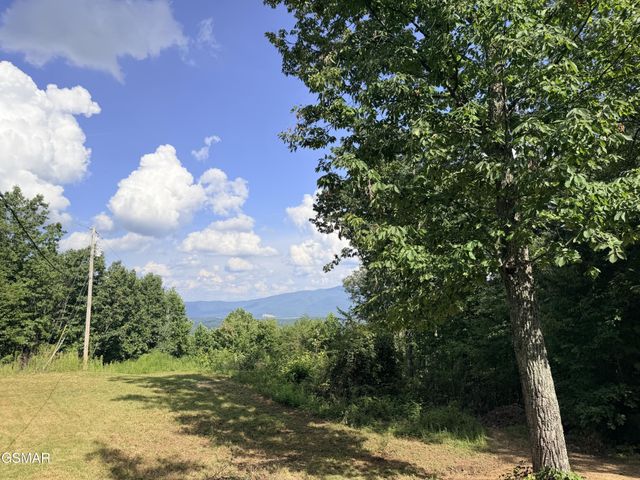 999 Manna Way, Cosby, TN 37722