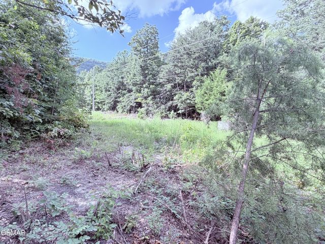 999 Manna Way, Cosby, TN 37722