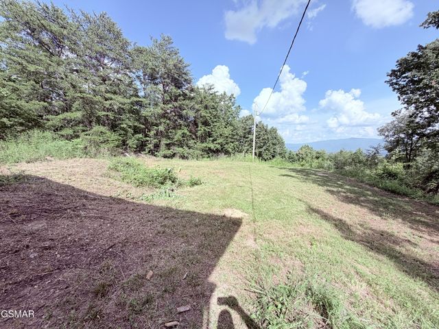 999 Manna Way, Cosby, TN 37722