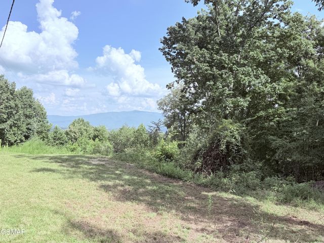999 Manna Way, Cosby, TN 37722