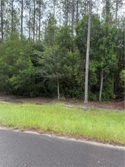 00 Heritage Circle, Hortense, GA 31543