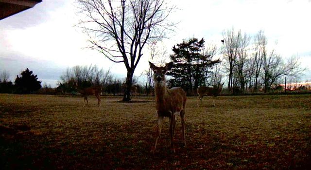 1925 Kyle Drive, Guthrie, OK 73044