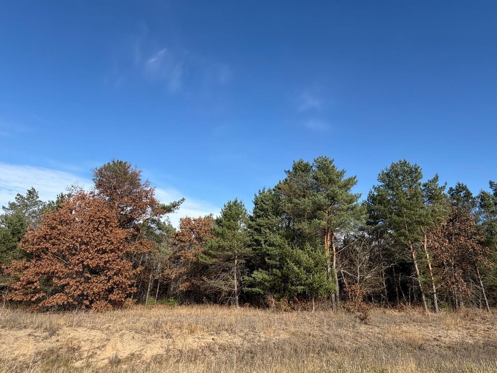 L5,Blk1 262nd Avenue NW, Big Lake, MN 55309