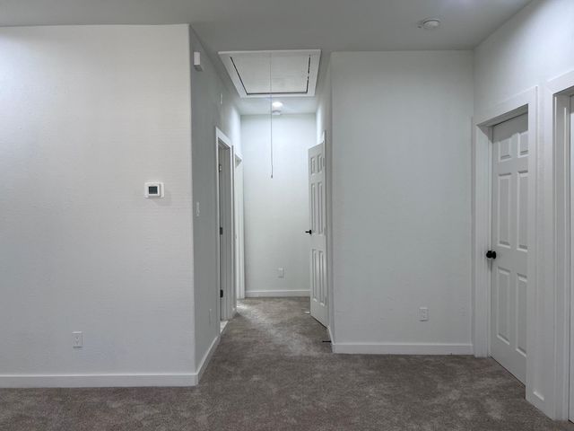9210 Martell Street, Houston, TX 77051