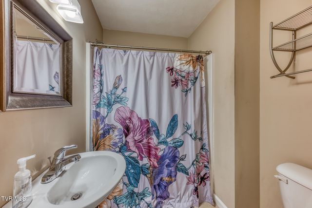 153 Hunters Run Lane, Mount Carmel, TN 37645