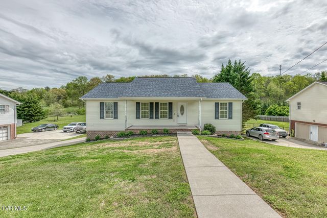 153 Hunters Run Lane, Mount Carmel, TN 37645