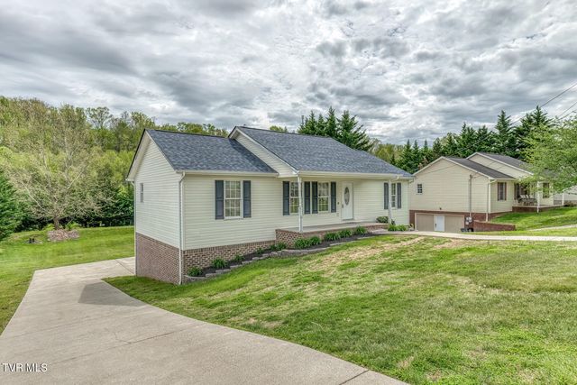 153 Hunters Run Lane, Mount Carmel, TN 37645