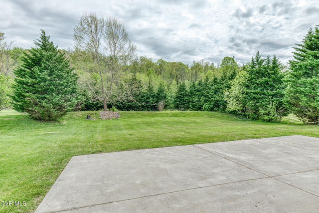 153 Hunters Run Lane, Mount Carmel, TN 37645