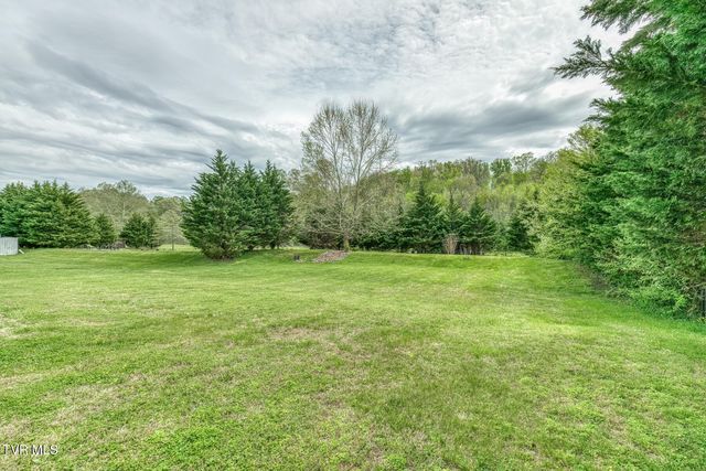 153 Hunters Run Lane, Mount Carmel, TN 37645