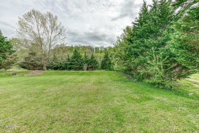 153 Hunters Run Lane, Mount Carmel, TN 37645