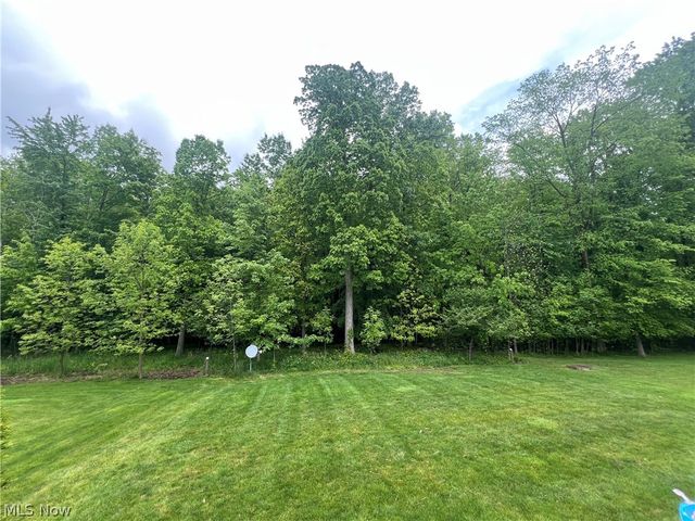 10523 Herrington Drive, Aurora, OH 44202