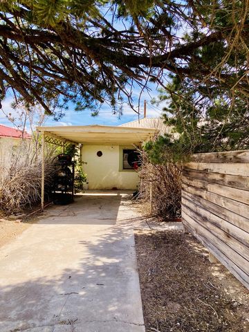 1105 W San Antonio St, Marfa, TX 79843