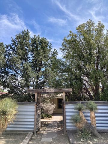 1105 W San Antonio St, Marfa, TX 79843