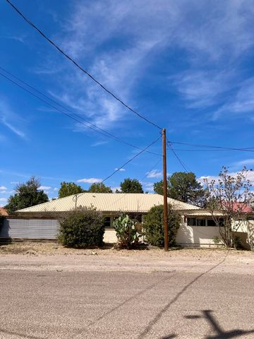 1105 W San Antonio St, Marfa, TX 79843