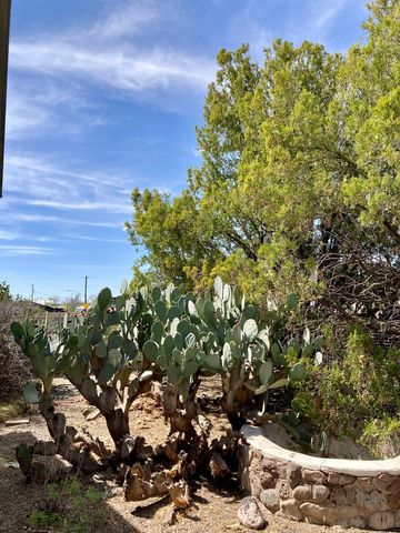 1105 W San Antonio St, Marfa, TX 79843