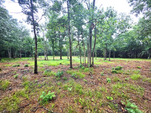 1 Couchville Pike, Mount Juliet, TN 37122
