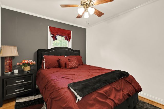 5006 DOMAIN PL, Alexandria, VA 22311