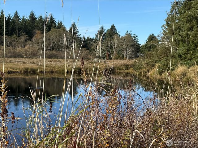 23804 Elm Lane, Ocean Park, WA 98640