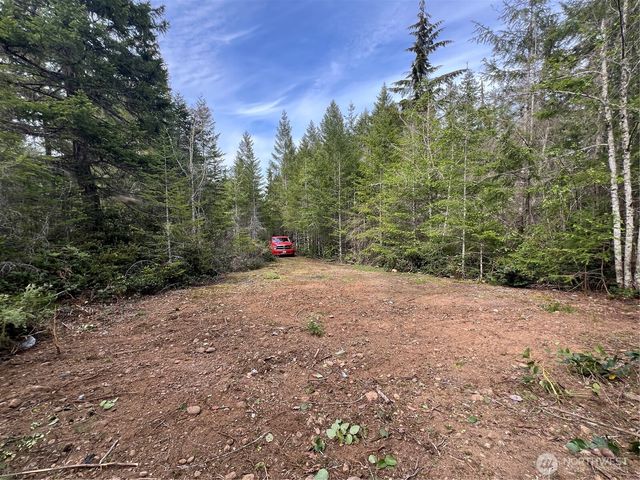 0 N US Hwy 101, Lilliwaup, WA 98555