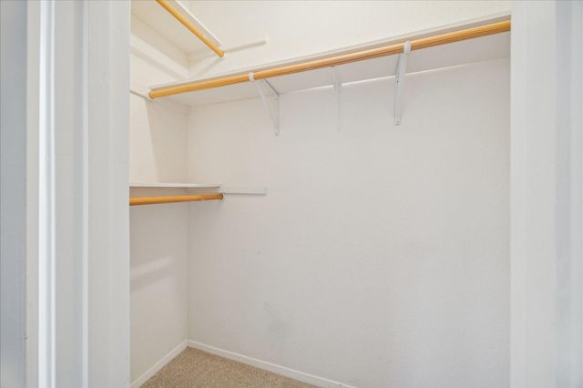 3623 Wakeforest Street, Houston, TX 77098