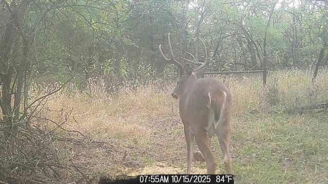 1013 2400th Street, Laharpe, KS 66751