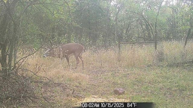 1013 2400th Street, Laharpe, KS 66751