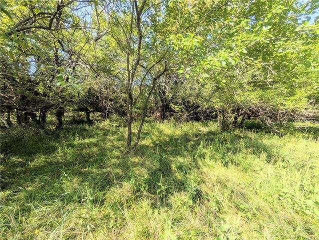 1013 2400th Street, Laharpe, KS 66751