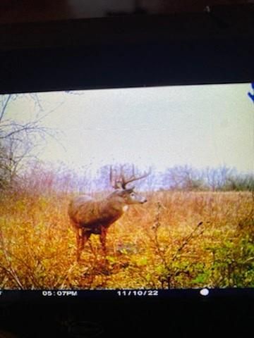 1013 2400th Street, Laharpe, KS 66751