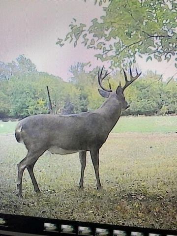 1013 2400th Street, Laharpe, KS 66751