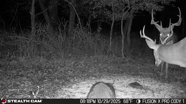 1013 2400th Street, Laharpe, KS 66751